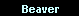 Beaver